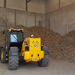 Using invasive wood species to make beer