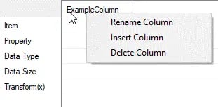 Datahub Column Properties