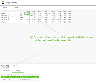 Flow Browser Based Data Entry With Revision Tracking