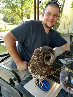 Kevin-Owl-Mouse-300w