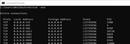 Screenshot - Netstat Command
