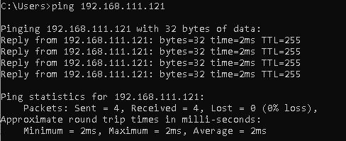 Screenshot_SuccessfulPing