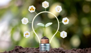 Sustainable Automation Takes All of Us