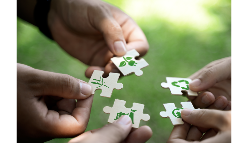 Sustainability Info Graphic