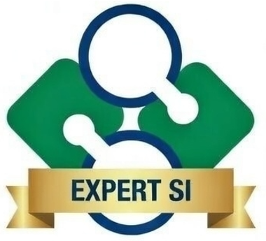 Forward Deployed AI Partner