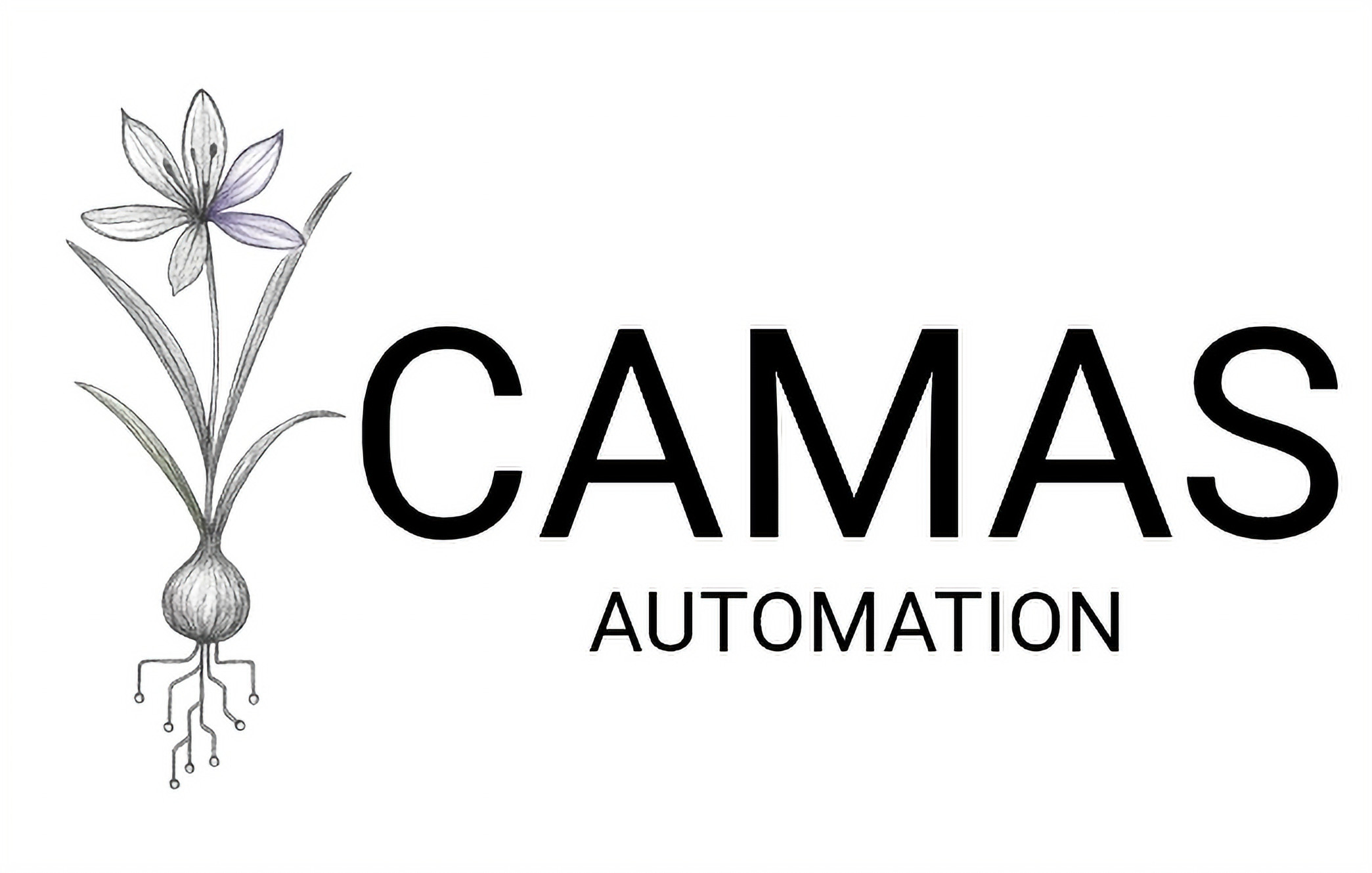 CAMAS Automation